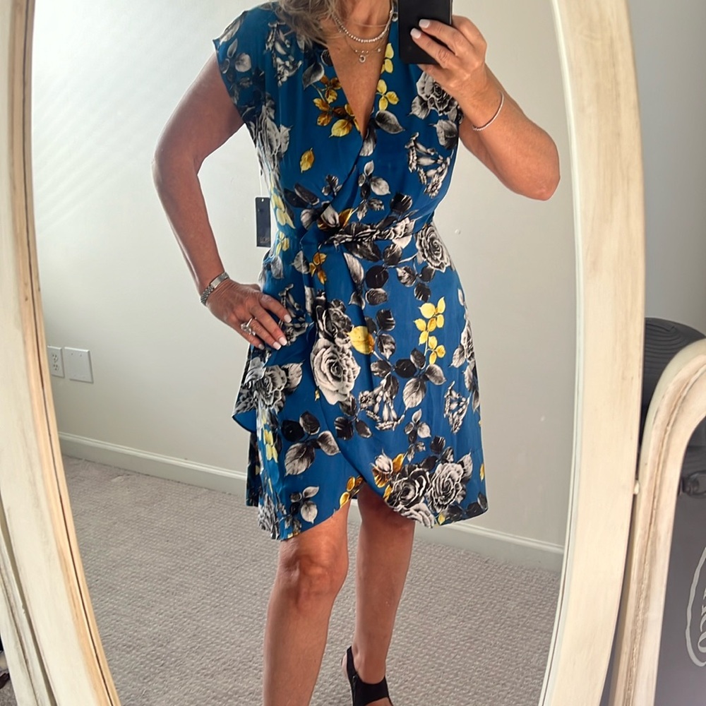 Rachel Roy dress